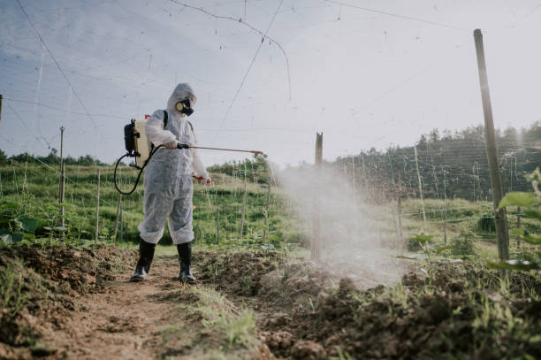 Best Pest Removal Services  in Fosston, MN