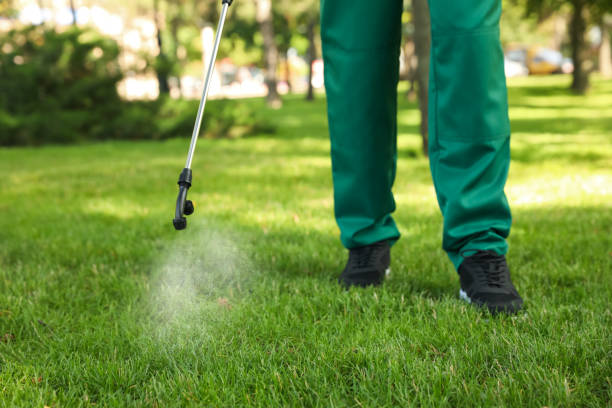 Best Best Pest Control Companies  in Fosston, MN