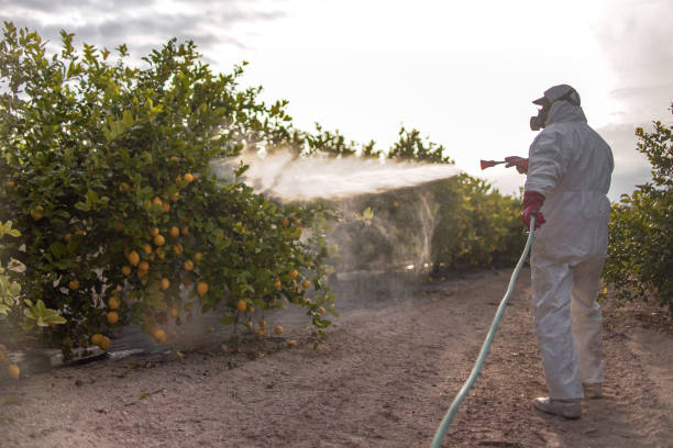 Best Commercial Pest Control Services  in Fosston, MN