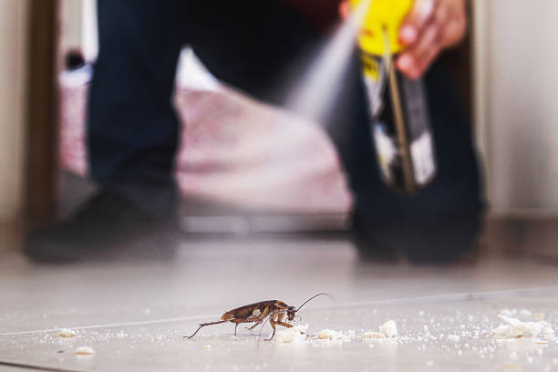 Professional Pest Control in Fosston, MN