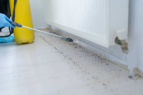 Best Affordable Exterminators  in Fosston, MN