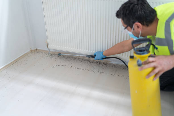 Best Pest Inspection Near Me  in Fosston, MN
