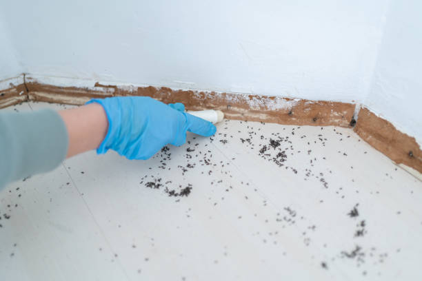 Best Pest Removal Services  in Fosston, MN