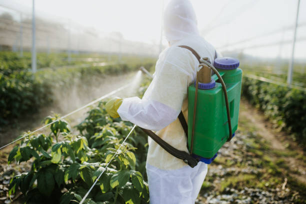 Best Wildlife Control Services  in Fosston, MN